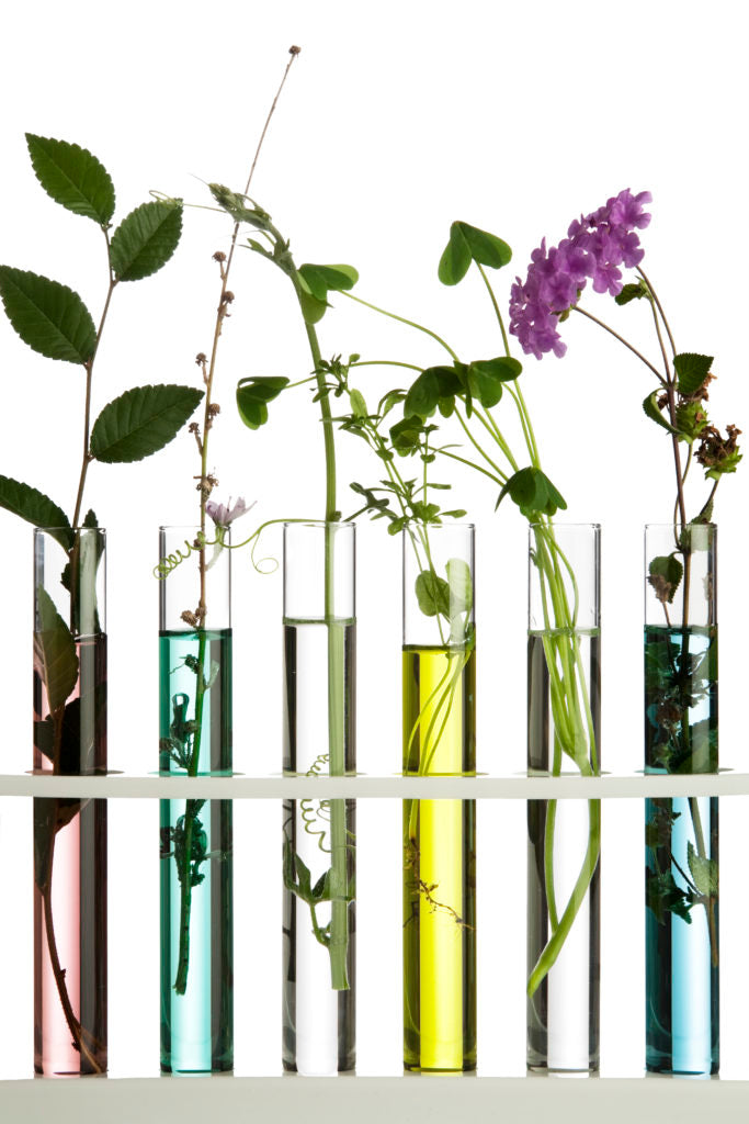 Eco-Friendly Skincare