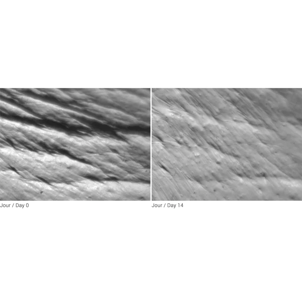 GF Advanced Derm Cream