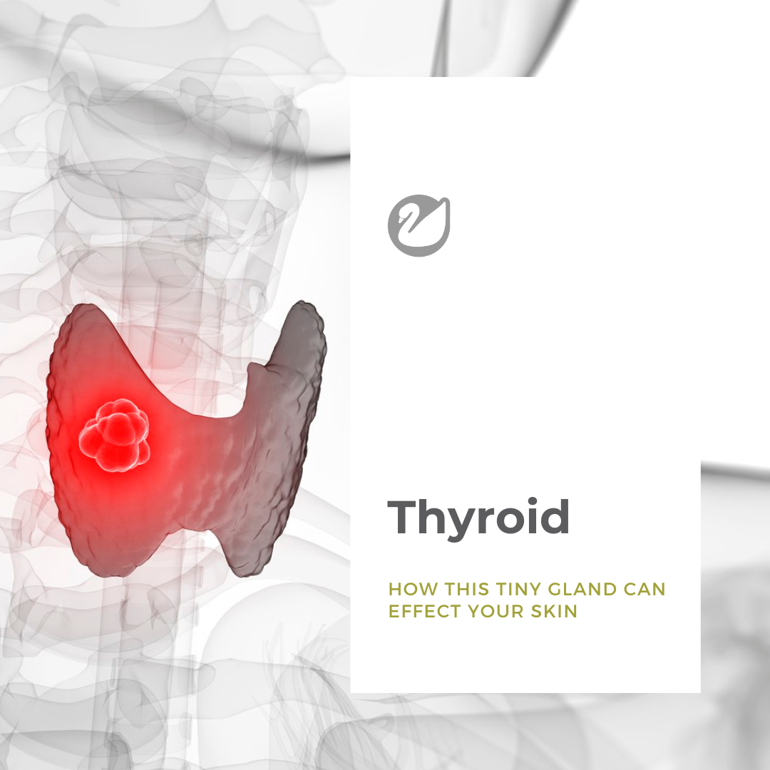 The Surprising Link Between Your Thyroid and Skin Health